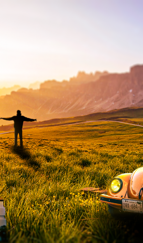 3035217.Forcados.FakeReality3