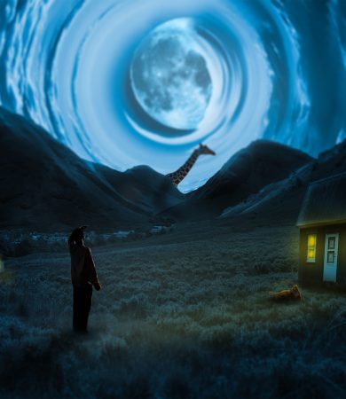 3035217.Forcados.FakeReality6